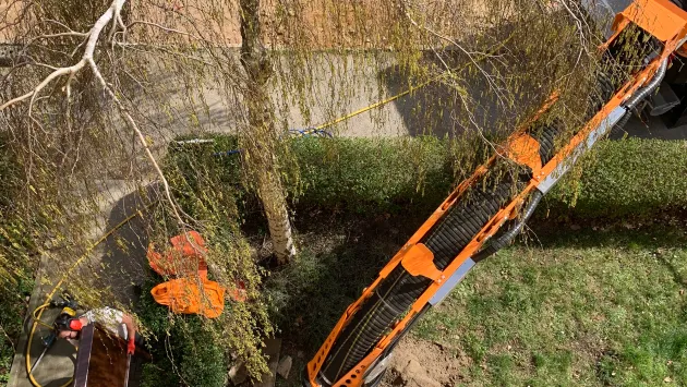 Le MTS DINO protège les plantes en intervenant de manière peu invasive.
